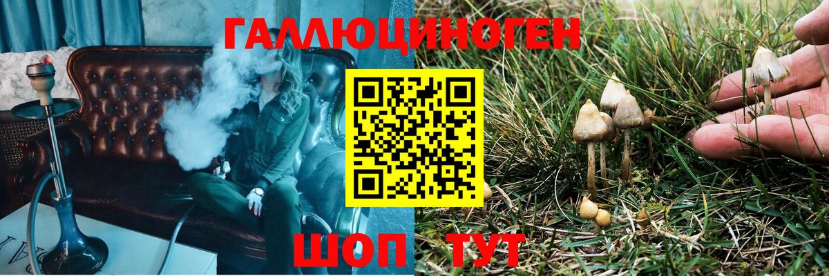 Псилоцибиновые грибы MAGIC MUSHROOMS  Вход с VPN  Нововоронеж  Псилоцибиновые грибы Magic Shrooms 