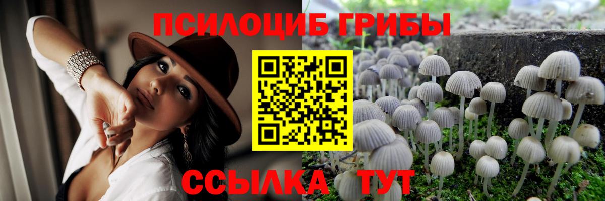 Псилоцибиновые грибы ЛСД Нововоронеж